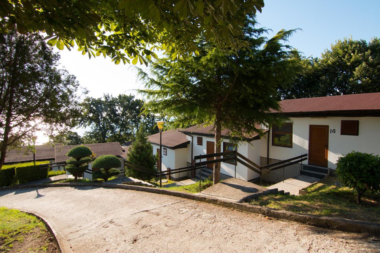 Complex Fichoza 3*